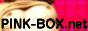 j̗VяꌟTCgPINKBOX