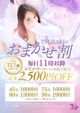 TSUBAKIのおまかせ割