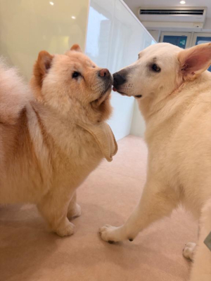 つばさの写メ日記画像