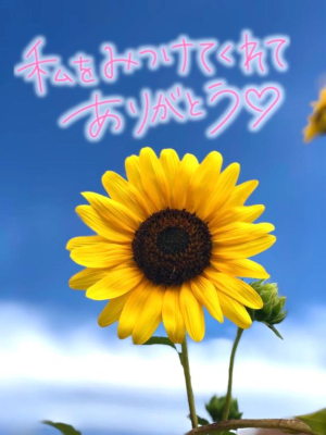 みなみの写メ日記画像