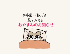 七海奈々の写メ日記画像