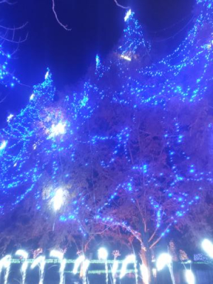 愛梨の写メ日記画像