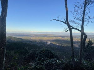 ももの写メ日記画像