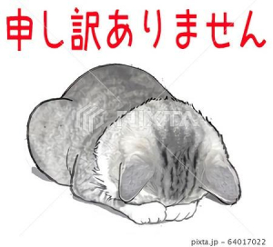 石田ゆみの写メ日記画像