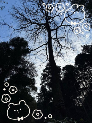 麻生さやかの写メ日記画像