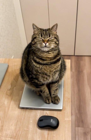 水原まなみの写メ日記画像