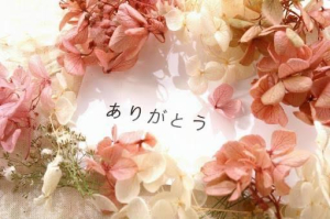 ののかCAの写メ日記画像