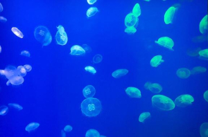 かんなの写メ日記画像