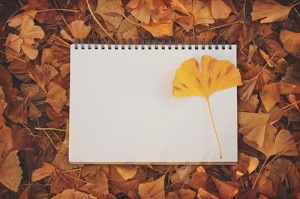 木下くれはの写メ日記画像