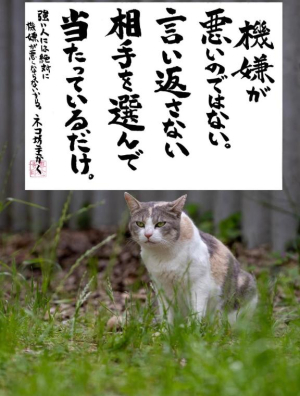 片山はるこの写メ日記画像