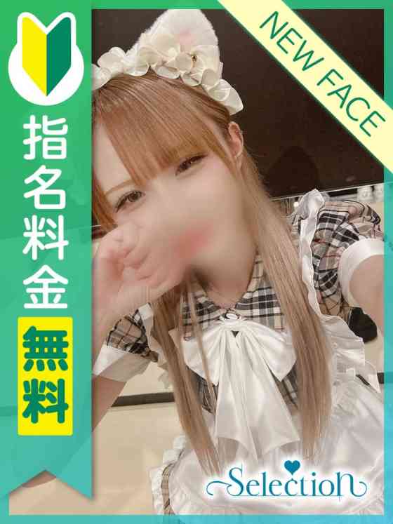 キラの写真