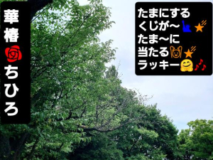 ちひろの写メ日記画像