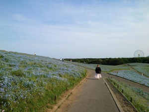 ちさとの写メ日記画像
