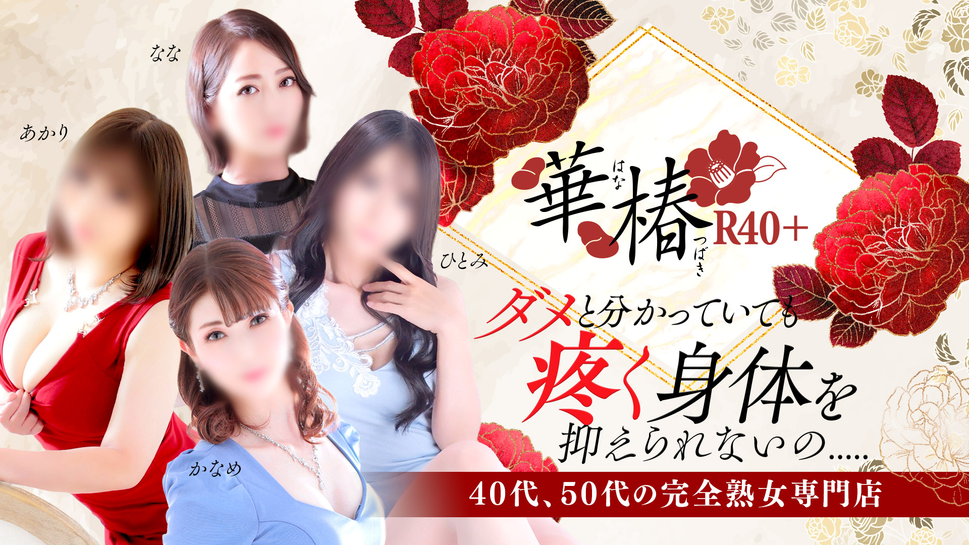 熊本華椿R40+