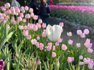 めい姫の写メ日記画像