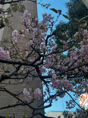 ちなみの写メ日記画像