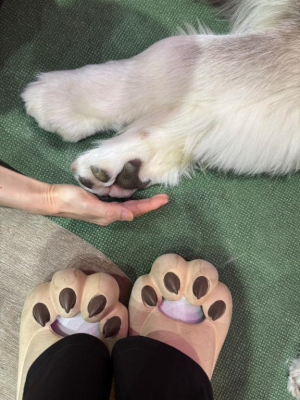 すい姫の写メ日記画像
