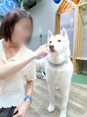 すい姫の写メ日記画像