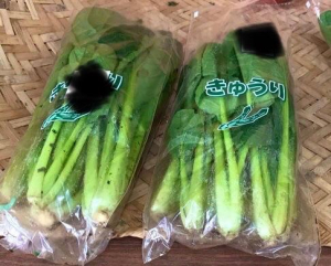 松本きょうこの写メ日記画像