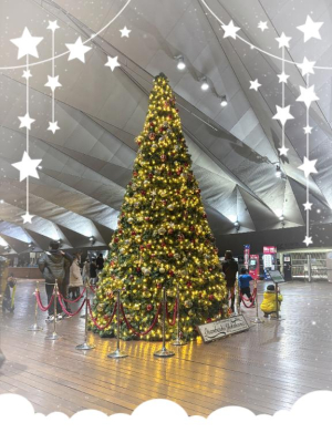 あかねの写メ日記画像