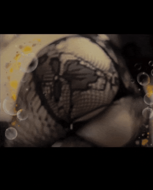 安西莉子の写メ日記画像